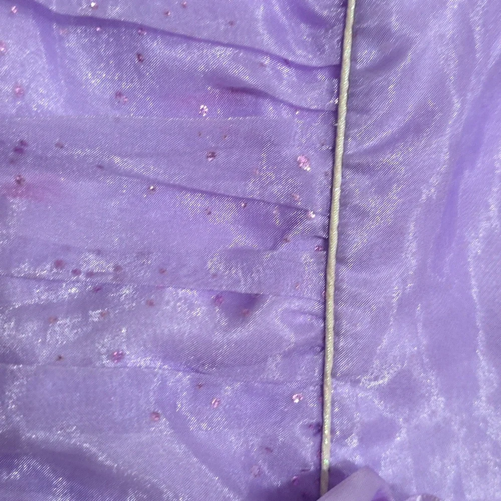 Disney Sophia The First Girl's Purple Party Dress Sparkly Lined Zips 6/6X *READ*